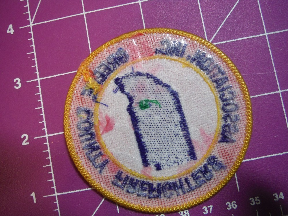 Green County Indiana Firefighters Association patch