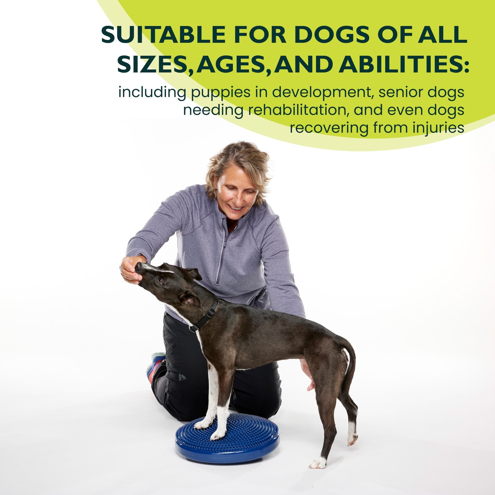 FitPAWS Dog Balance Disc 14" Blue Exercise Workout Tool Strength Core