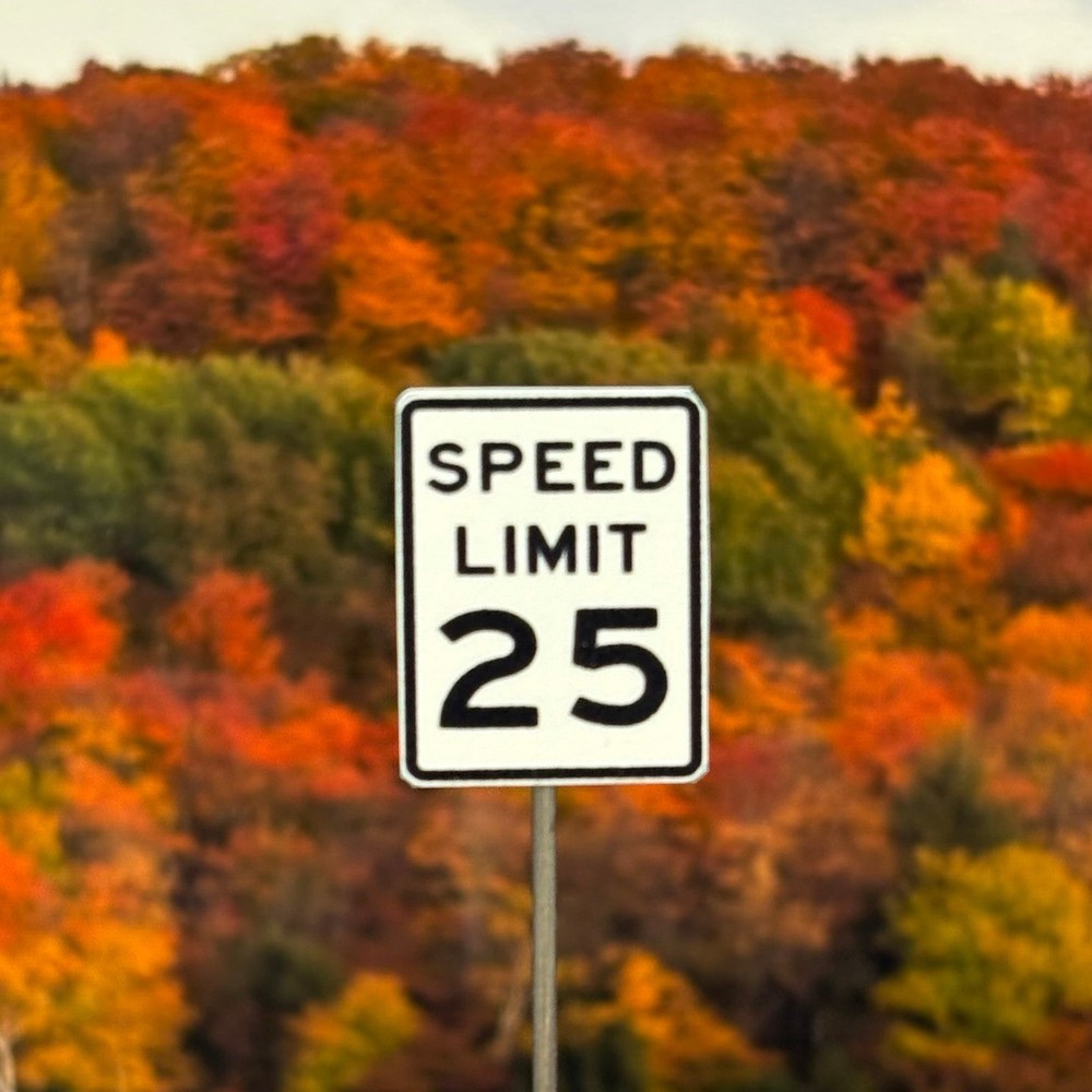 N Scale - Speed Limit - Choose MPH - 2 Pack