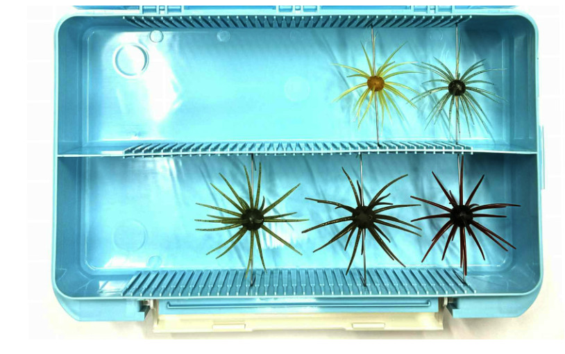 HIDEUP HU-3043NDD Tackle Box Koike Fullcast Lure Storage Case Large Japan NEW FS