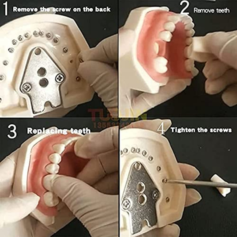 USA - Dental Simulator Mannequin Head Teeth Model Teaching Practicing Head Mold