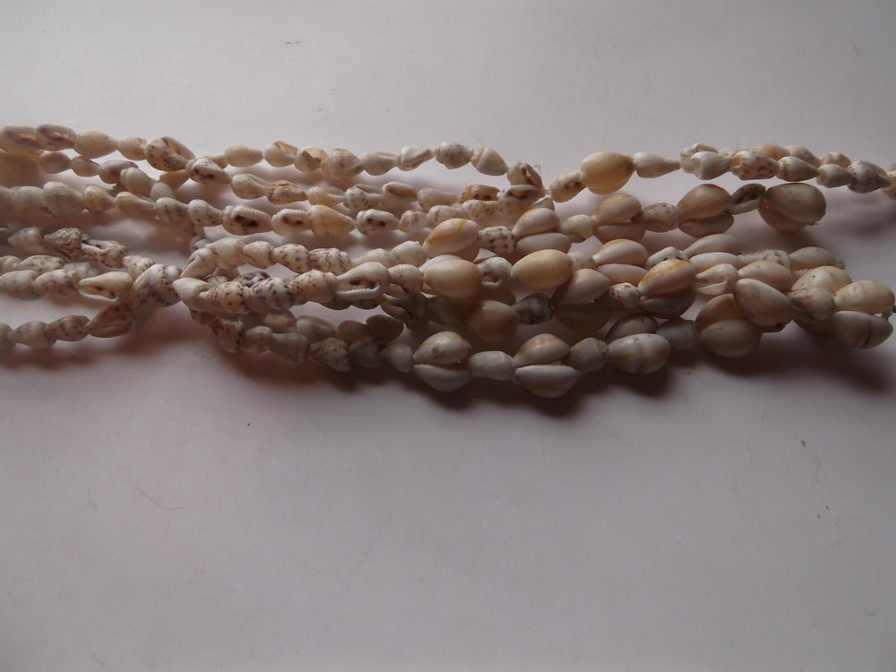 Seashell Plant Hanger Hanging Holder Beach Shell Boho Vintage