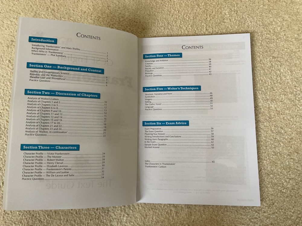 CGP GCSE English Frankenstein Text Guide