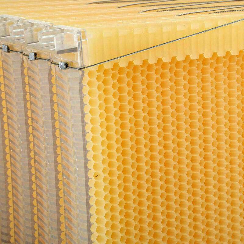7PCS Auto Beehive Frames Beekeeping Frames Bee Hive Harvest Honey Tool Beekeeper