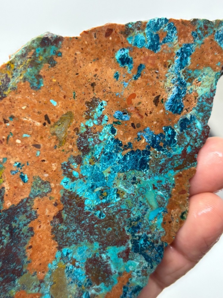 Chrysocolla Slab Cabbing Lapidary Collecting Combo Ship Avail