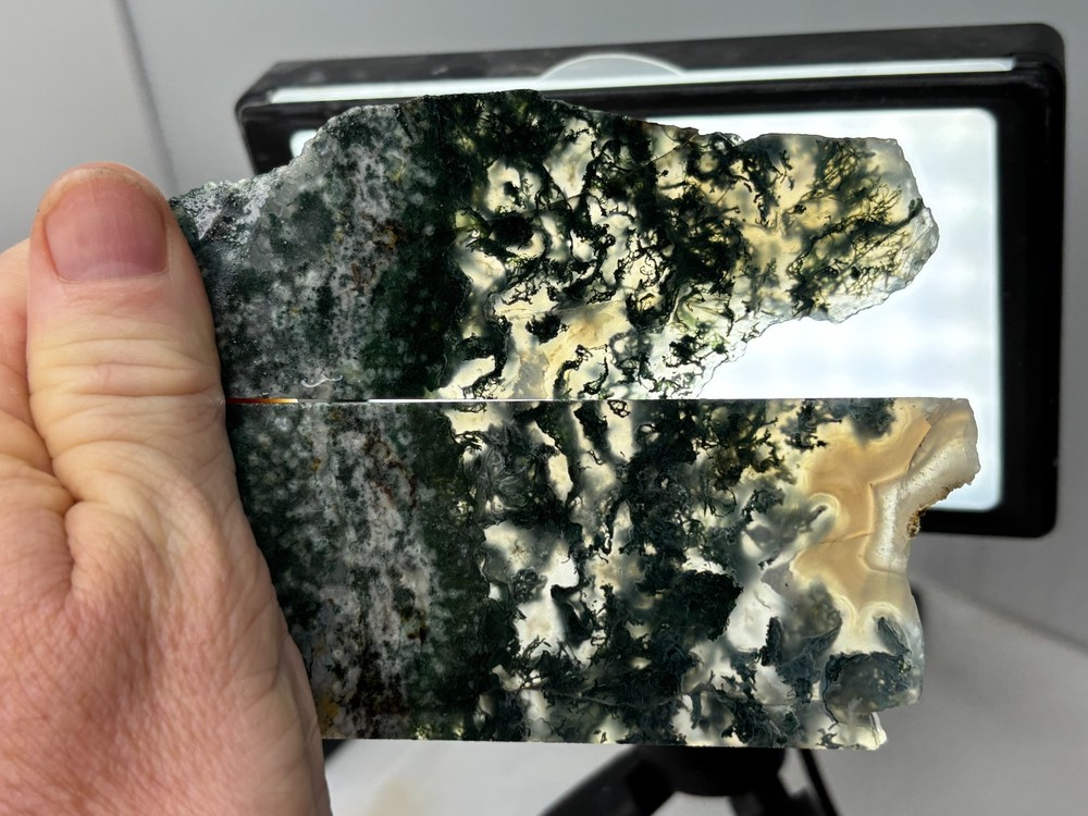 Semi-translucent Moss Agate Slabs Cabbing Lapidary Combo Ship Avail