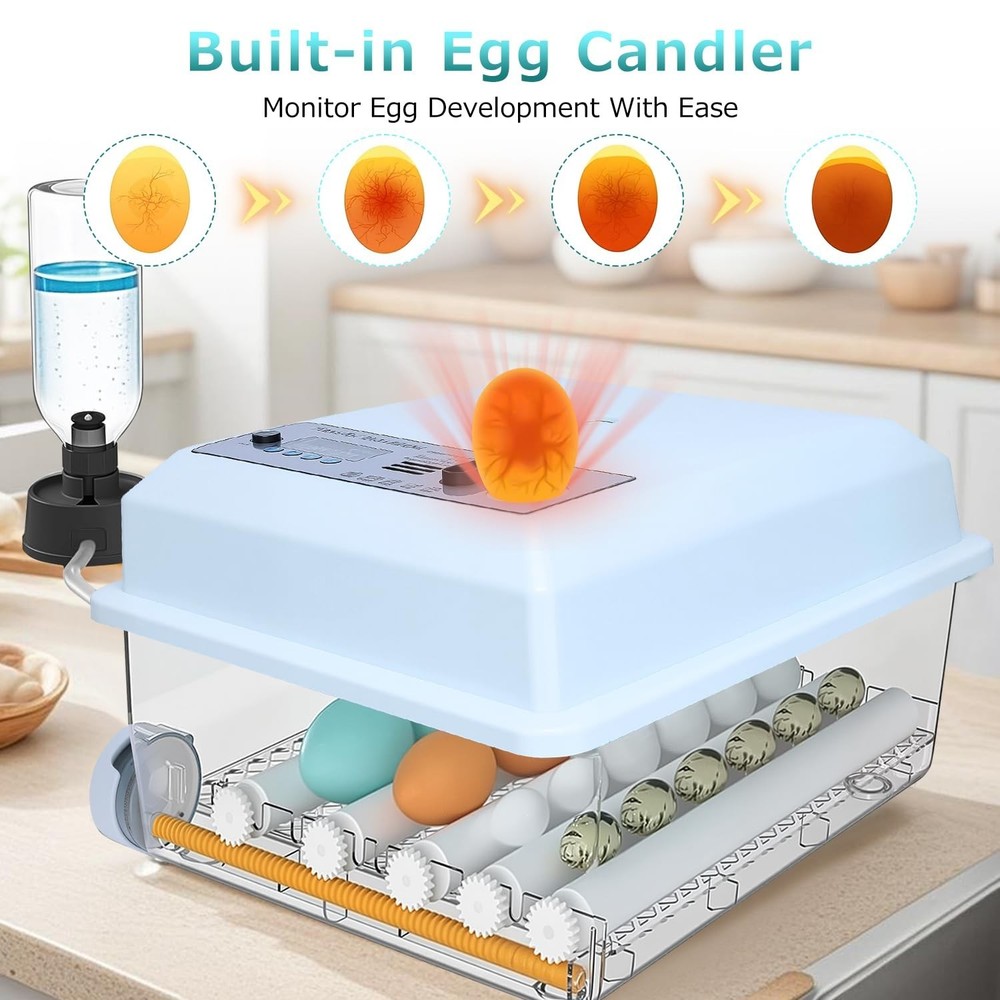 Incubators for Hatching Eggs 16 Egg Automatic Egg Incubator with Temperature Con