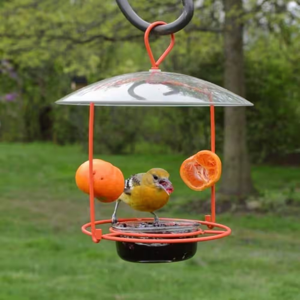 Oriole Wire Feeder 3/4 Cup