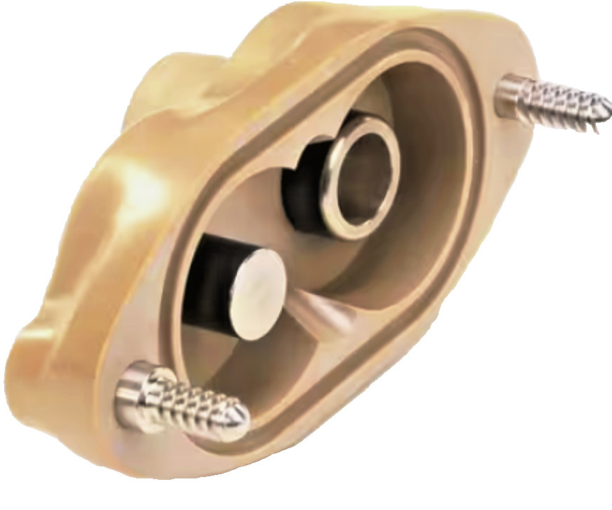 CARPIGIANI PUMP BODY