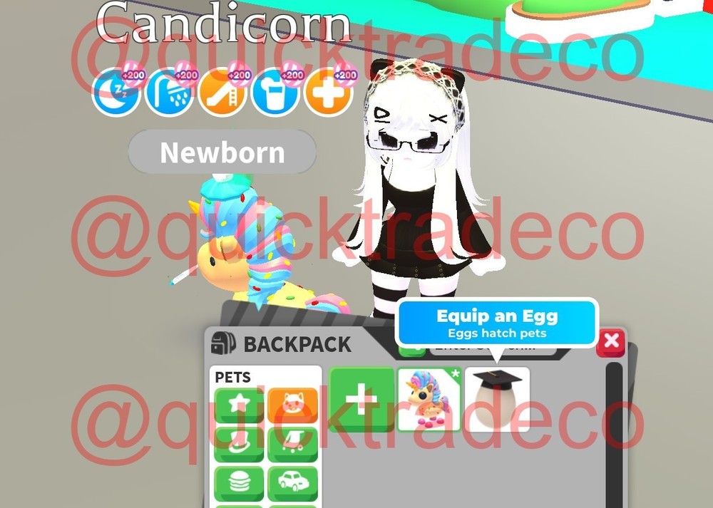 [offsale] CANDICORN – Fast & Easy Delivery