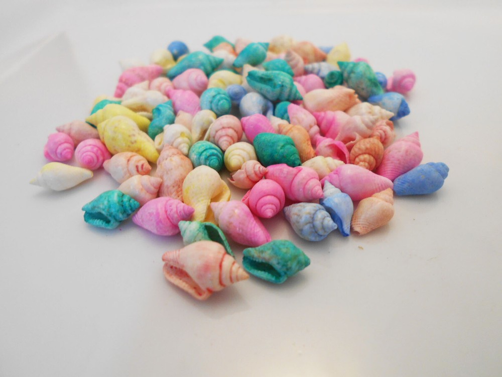 4 oz (about 250 shells) Dyed Nassa Mini Shells (1/2") Beach Crafts Seashells