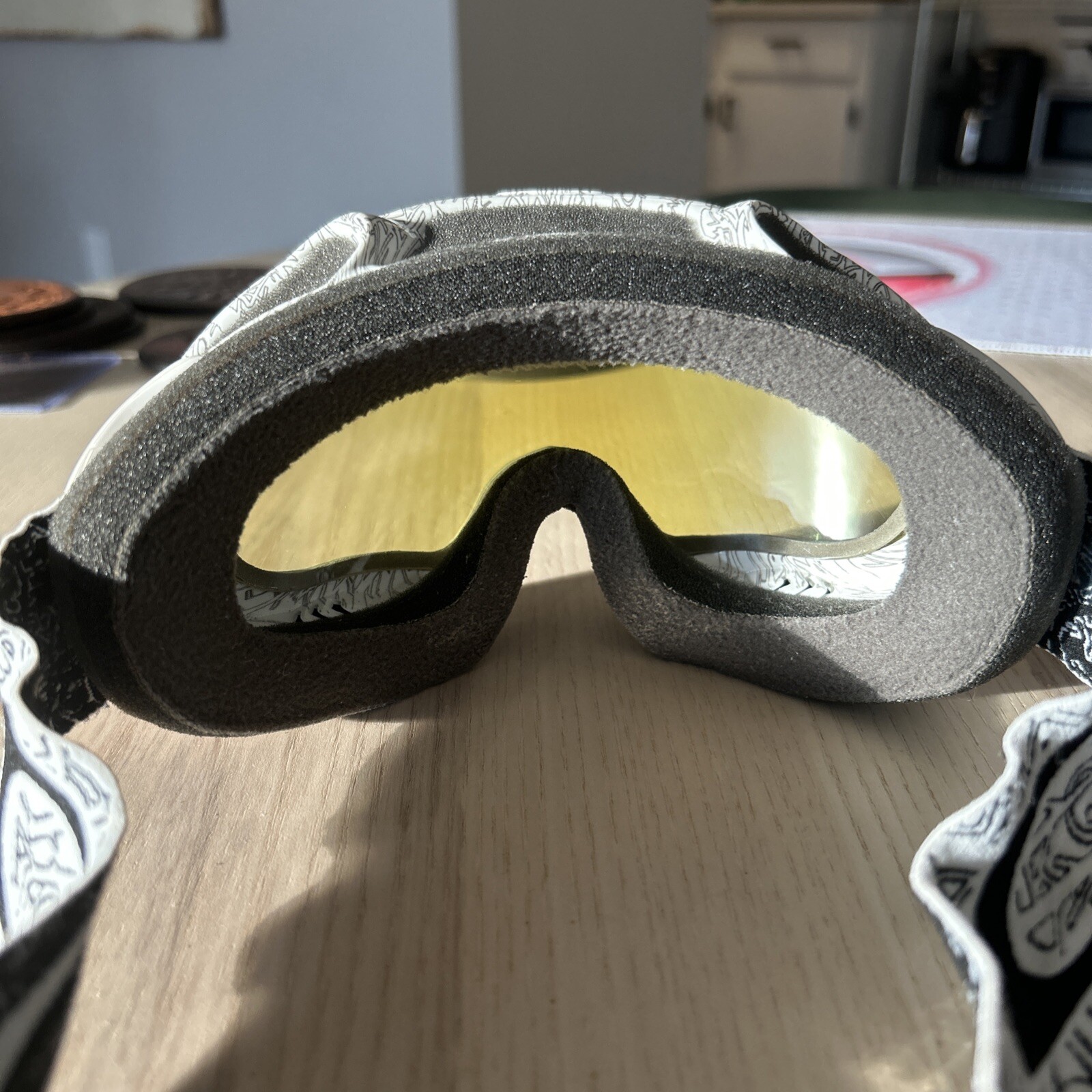 Oakley Crowbar Ski And Snowboard Goggles.