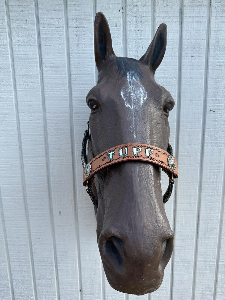 Personalized Nylon Horse Halter