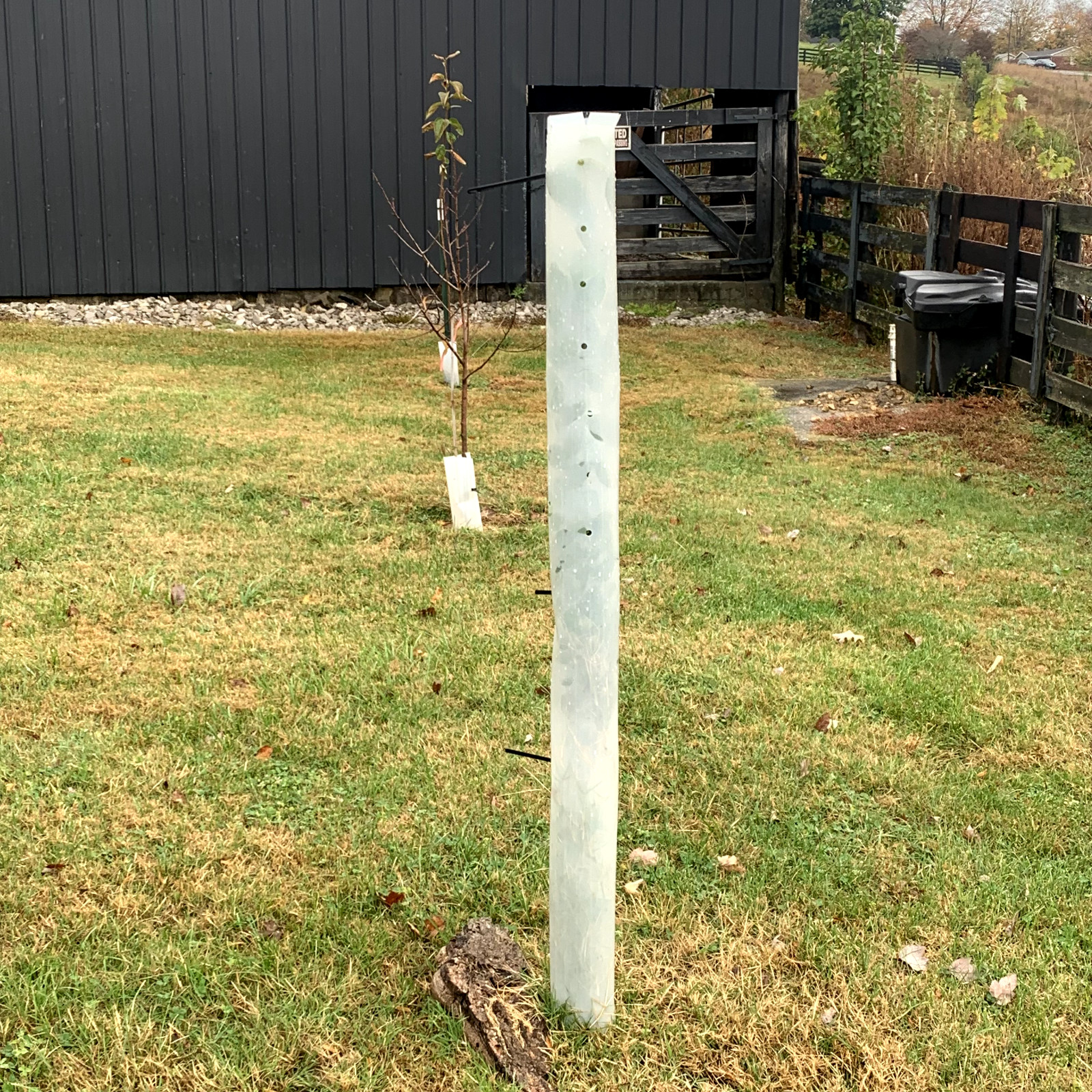 (5) 12"-72" TREE PRO Tubes (Split Style) Miracle Protector Shelters-USA