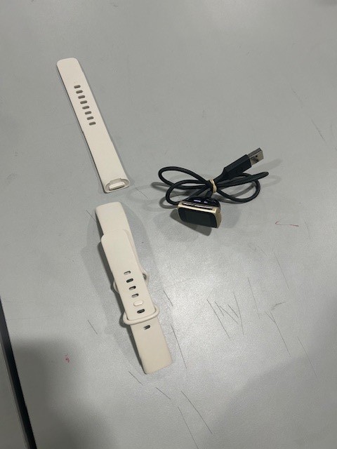 FITBIT CHARGE 5 WHITE BAND SILVER WATCH - WHITE/SILVER