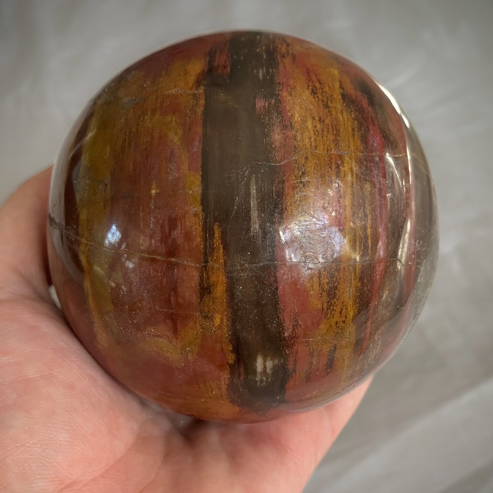 Large Petrified Wood Sphere