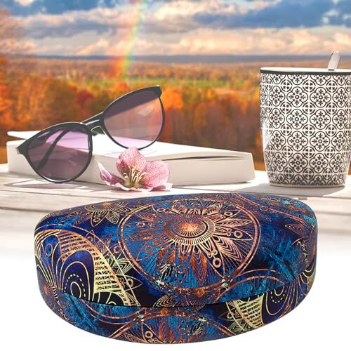 Oversized Hard Shell Sunglasses Case, Protective Holder for Extra Blue Compass