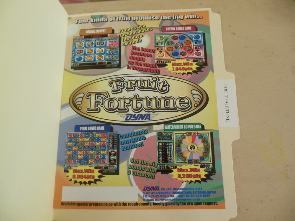 old stock FRUIT FORTUNE    ARCADE   GAME  FLYER