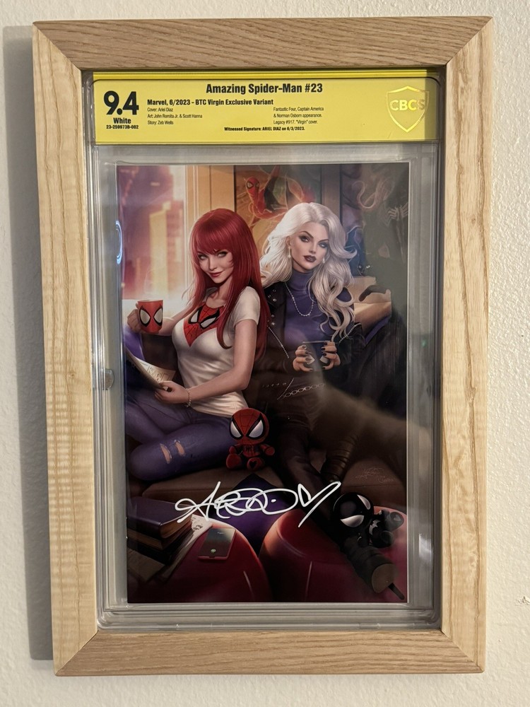 Graded Comic Book Display Frame CGC CBCS Slabs Wall Hanging Custom Made 