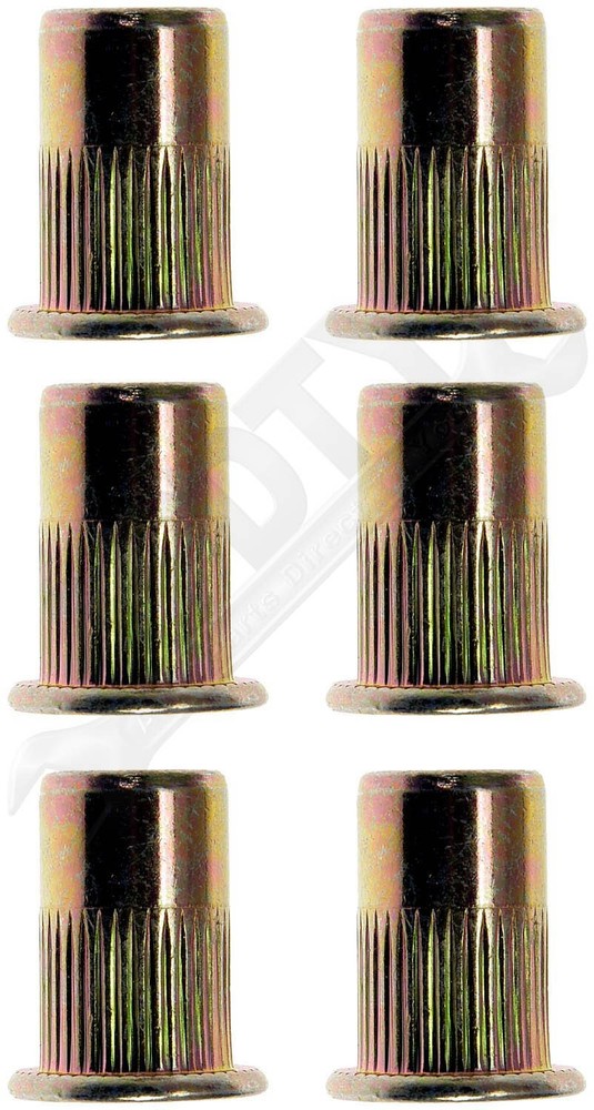 APDTY 157078 Rivet Nut - M6