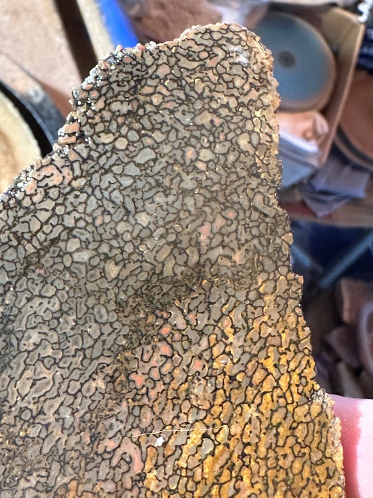 Dinosaur bone rough **hxtled slab.