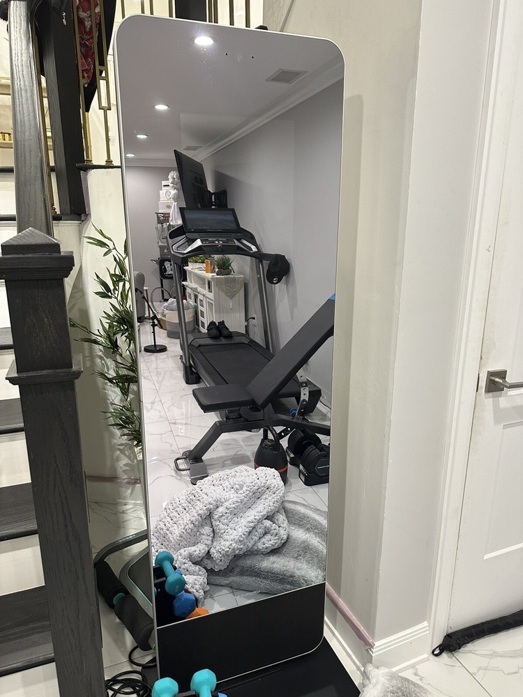Pro Form Workout Mirror