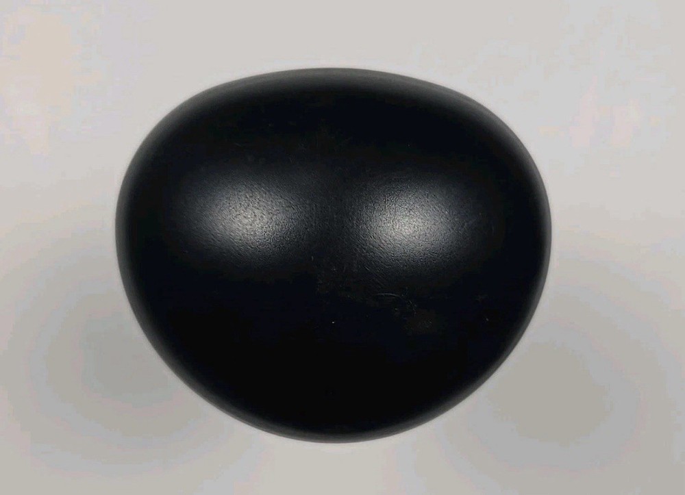 Magic Veggie Bullet VB-102 Outer & Inner Pusher Replacement Part Black Used