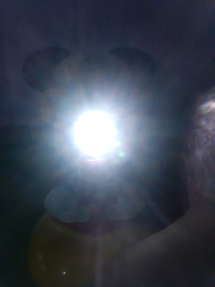 Disney Hap-P-Kid Mickey Mouse Light-Up Pals Talking Flashlight Tested Works