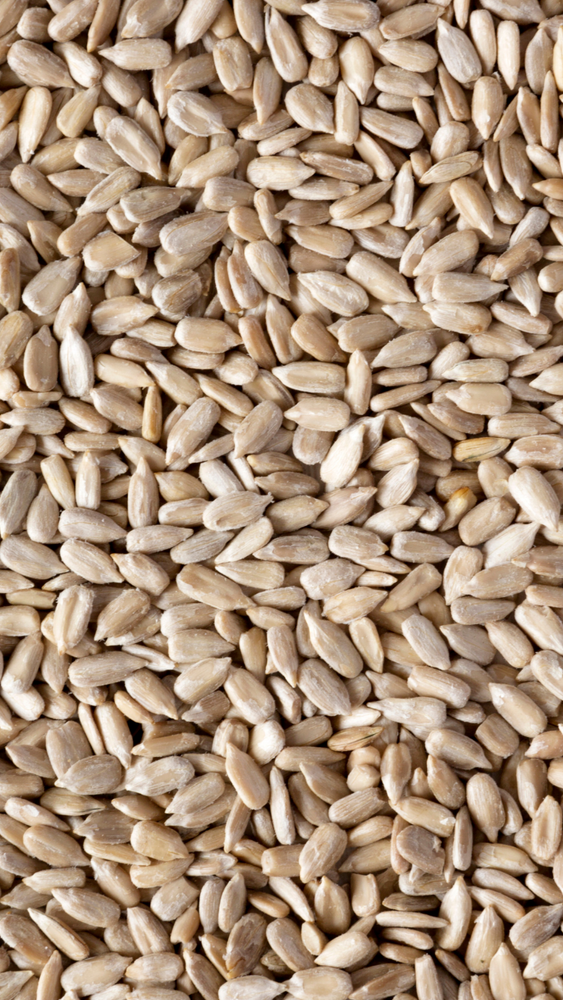 Sprouted Sunflower Kernels / 1KG