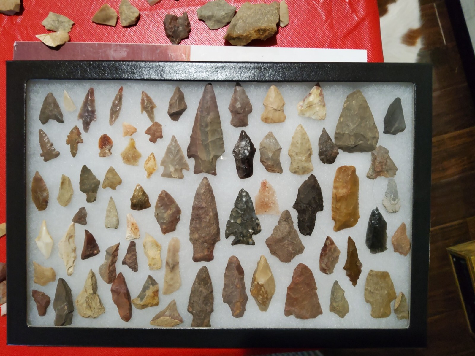 Riker Display Case 12 x 8 x 3/4 Arrowheads Fossil Pin Medal Coins USA Shadow Box