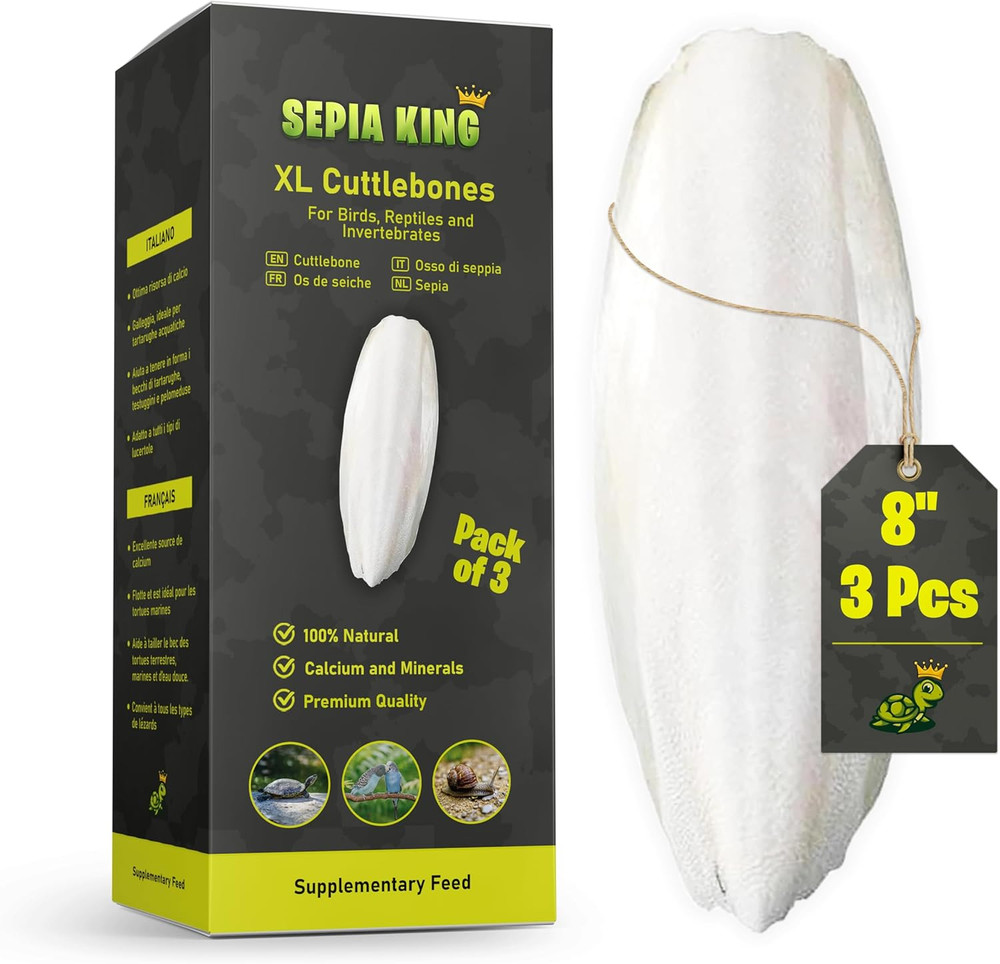 Extra Large - 100% Natural Calcium Supplement - Premium Cuttlebone Perfect