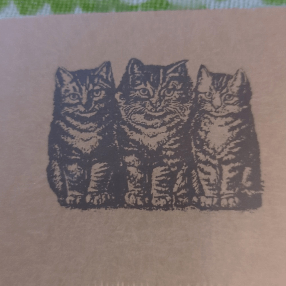 Nature Notes kitty cat stationary set nwt