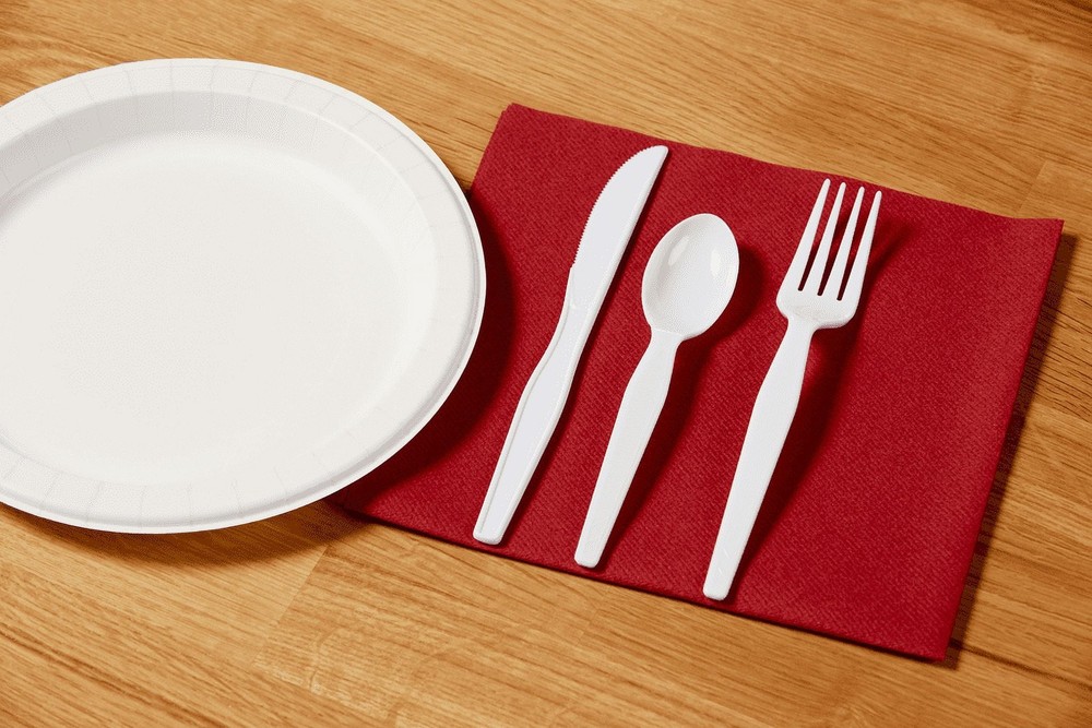 Dixie Heavy-Weight Disposable Spoon, TH217, 1,000 Count