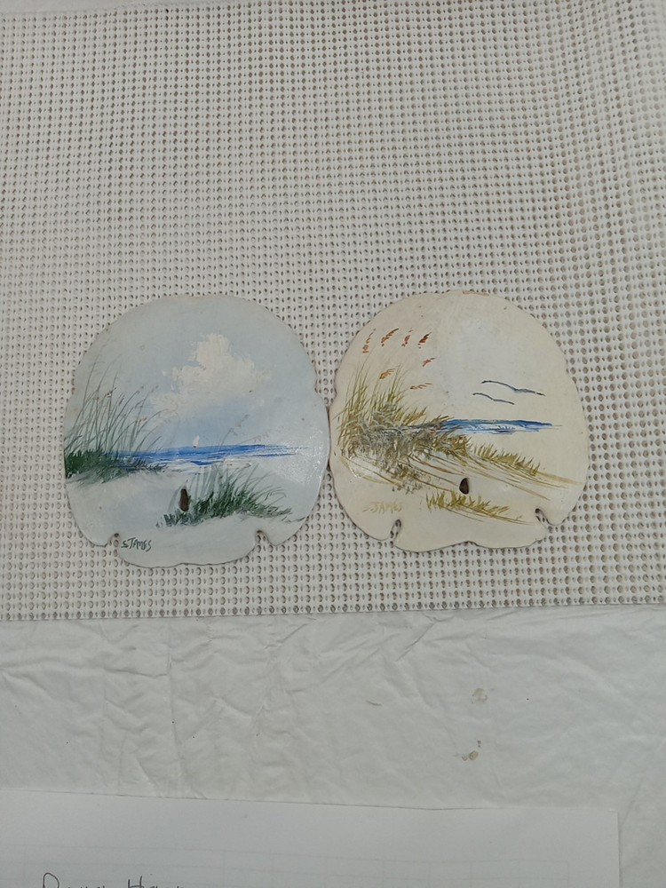 Large Painted Sanddollar