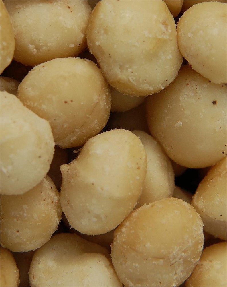 MACADAMIA NUTS ROASTED SALTED, 1LB