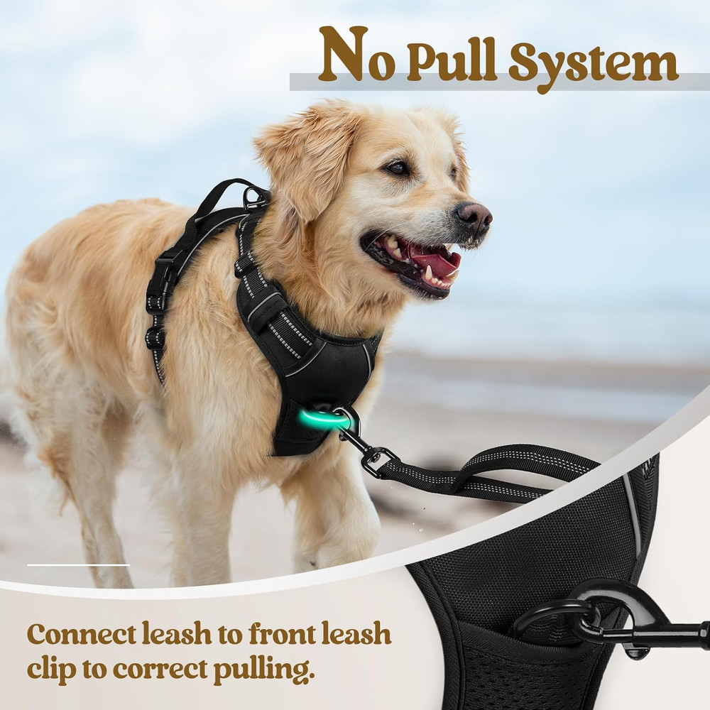Dog Harness No Pull with 2 Leash Clips, Adjustable Soft Padded, Reflective Oxfor