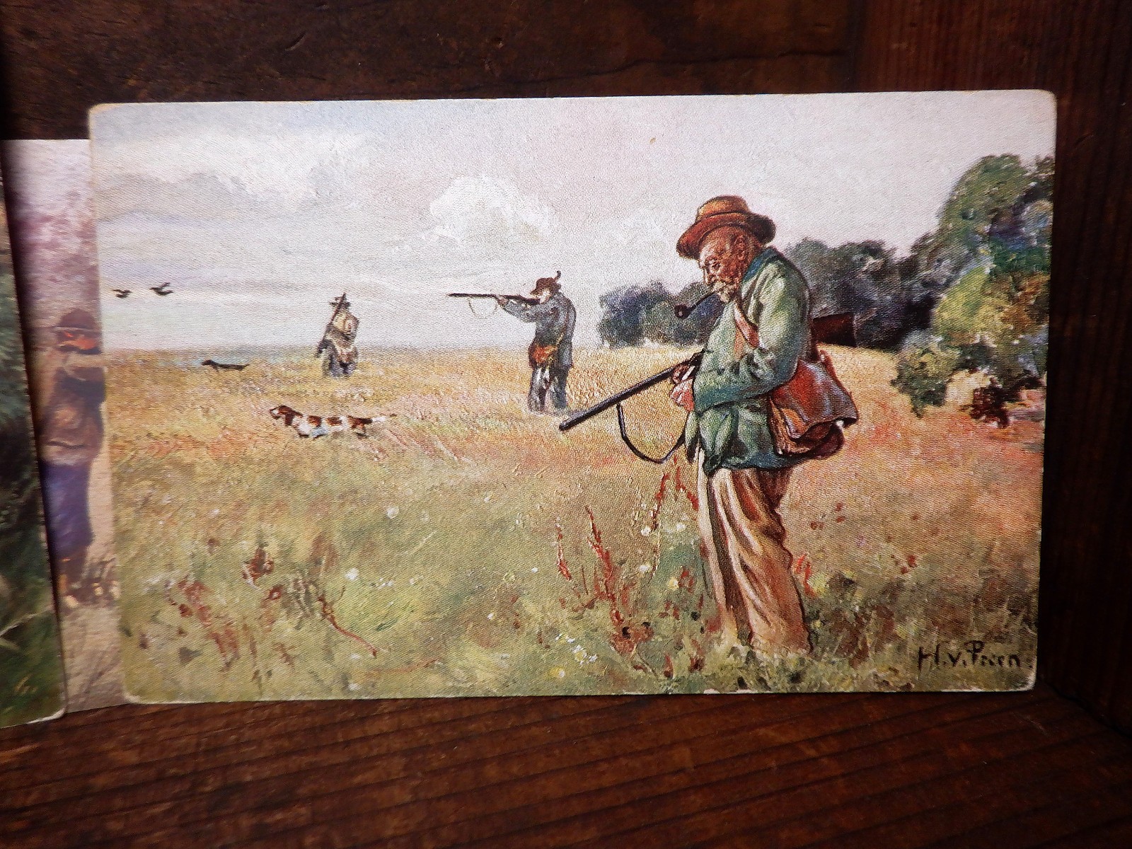 5 Antique HUNTING DOGS w/Hunter Postcards - English/Irish Setter Gun Bird Dogs