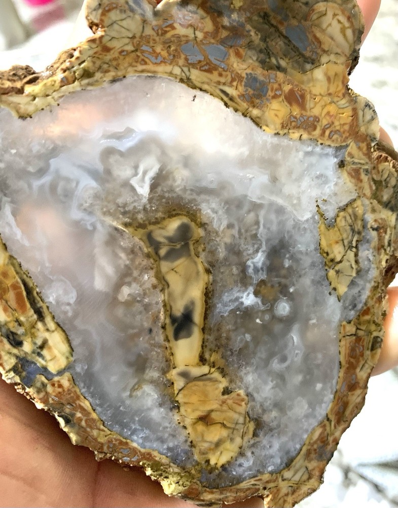 Cold Mountain Jasper Slab