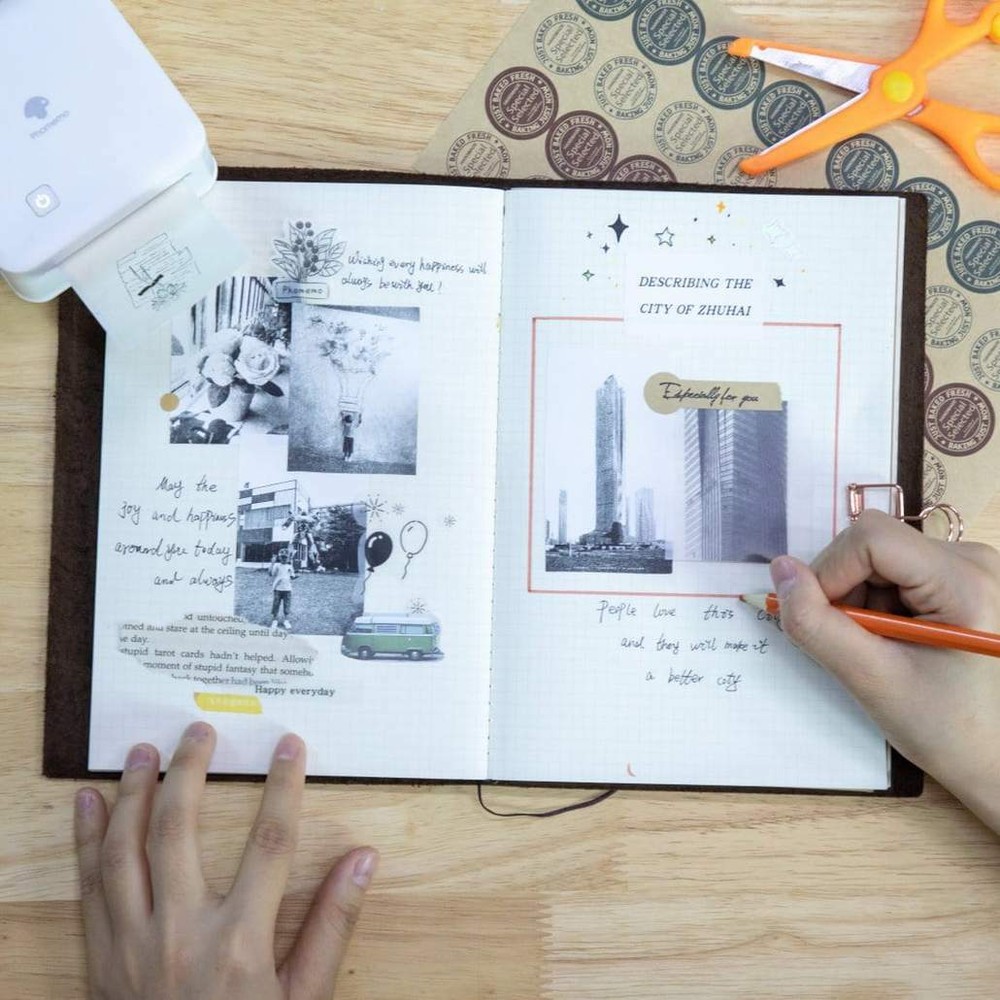 Phomemo M02 Pro Thermal Printer Mobile Photo Printer Pocket Printer Xmas Gift