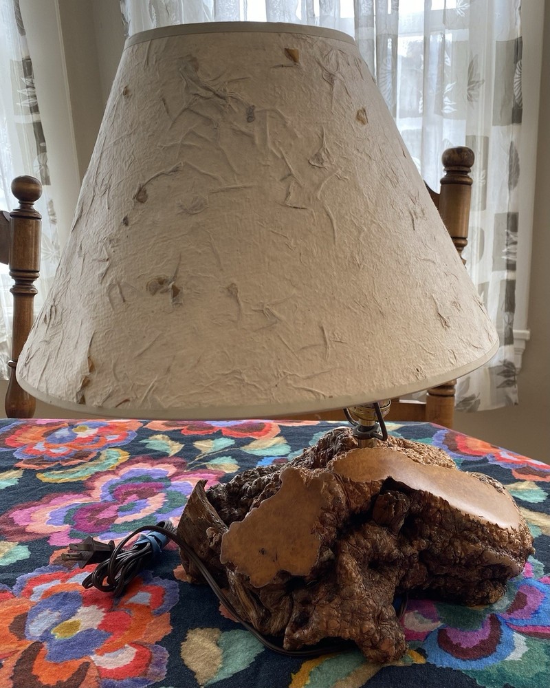 Burl Wood Lamp
