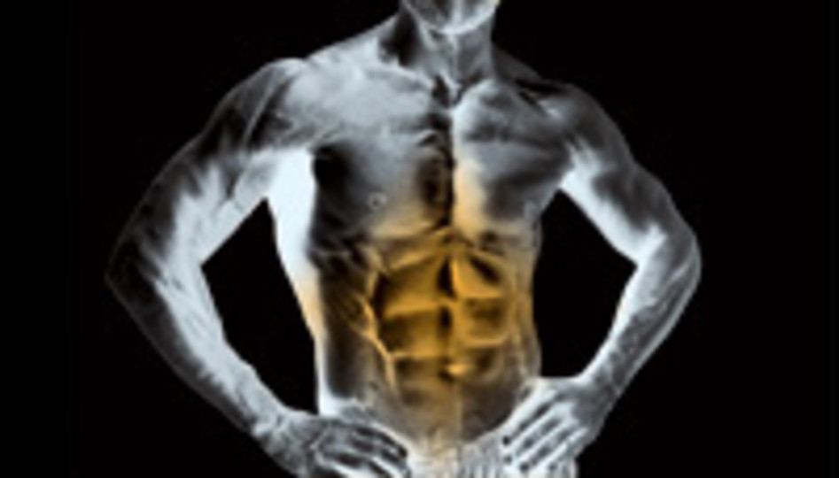 Tribulus terrestris extract - GET HARD PILLS - increasing stamina - 2 Bottles
