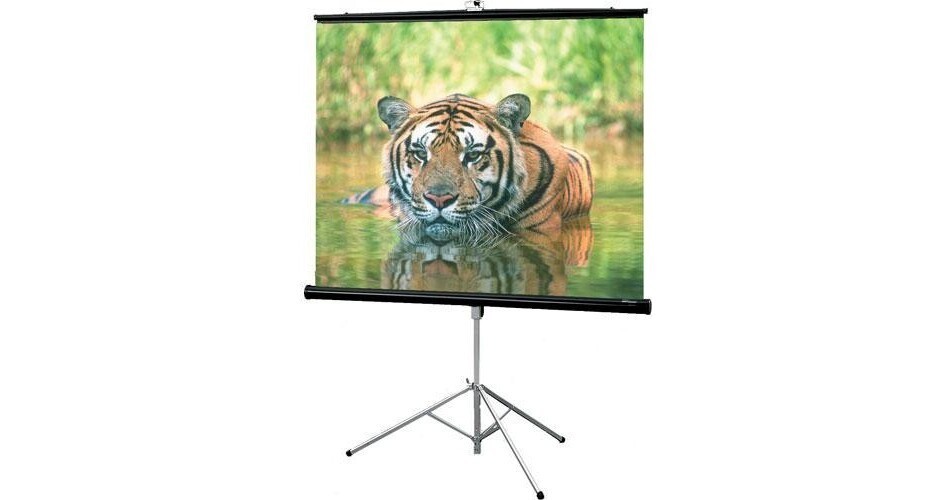 Draper Consul Projection Screen