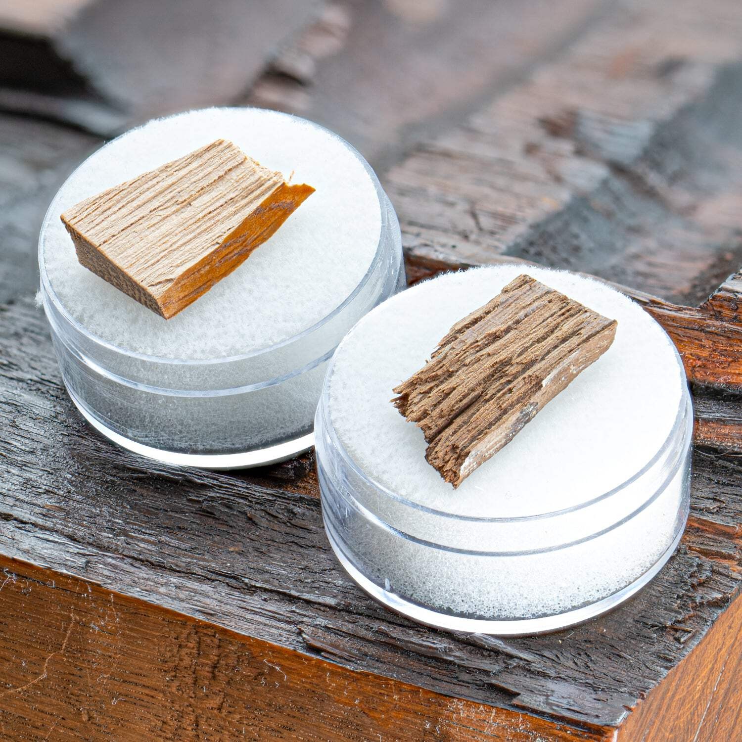 Old Ironsides USS Constitution Hull Fragment