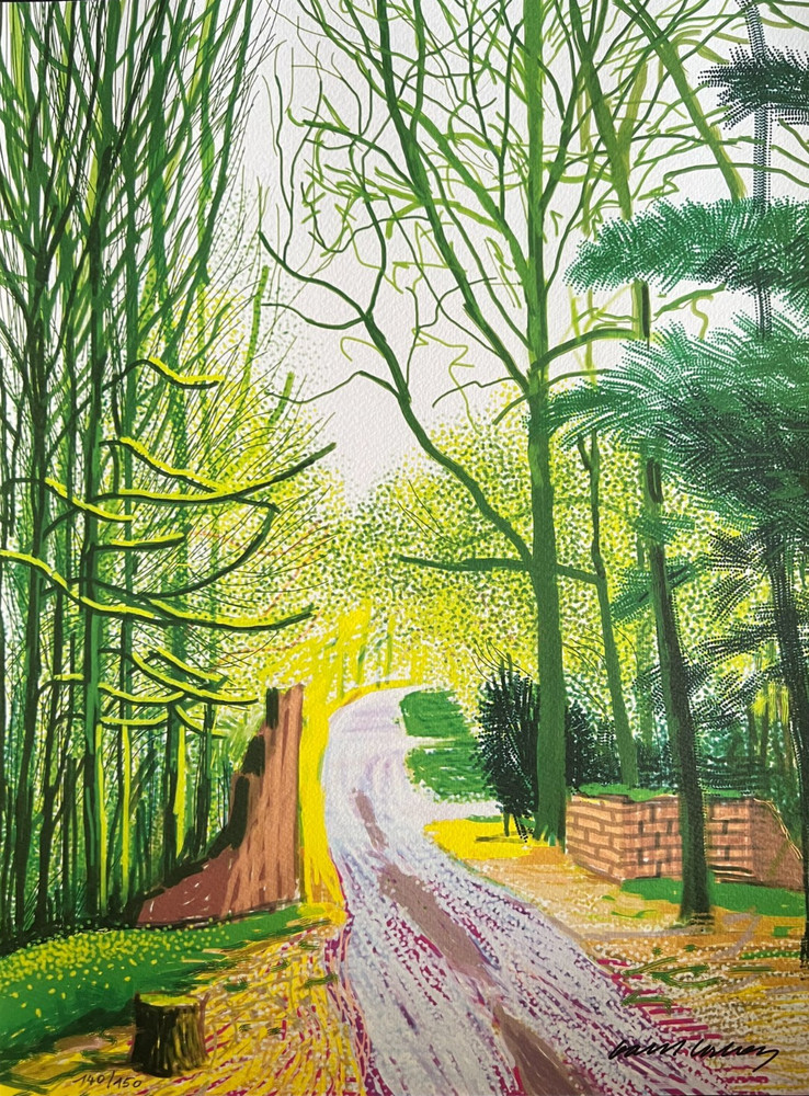 David Hockney Lithograph COA Original Signed Op Numbered Limited &