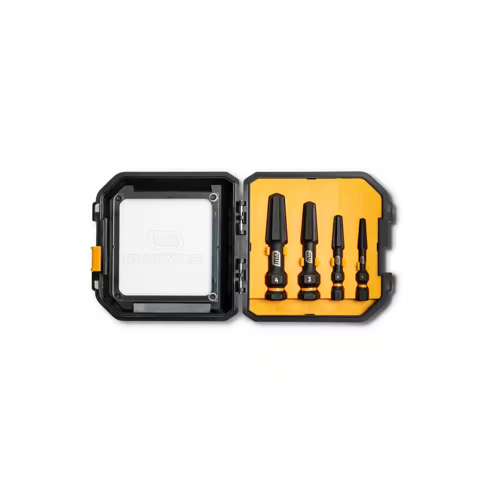 Bolt Biter Screw Extractor Set with Case (4-Piece)