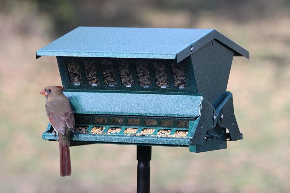 Heritage Farmsn Basic Absolute Feed & Seed Squirrel Resistant Bird Feeder 24640
