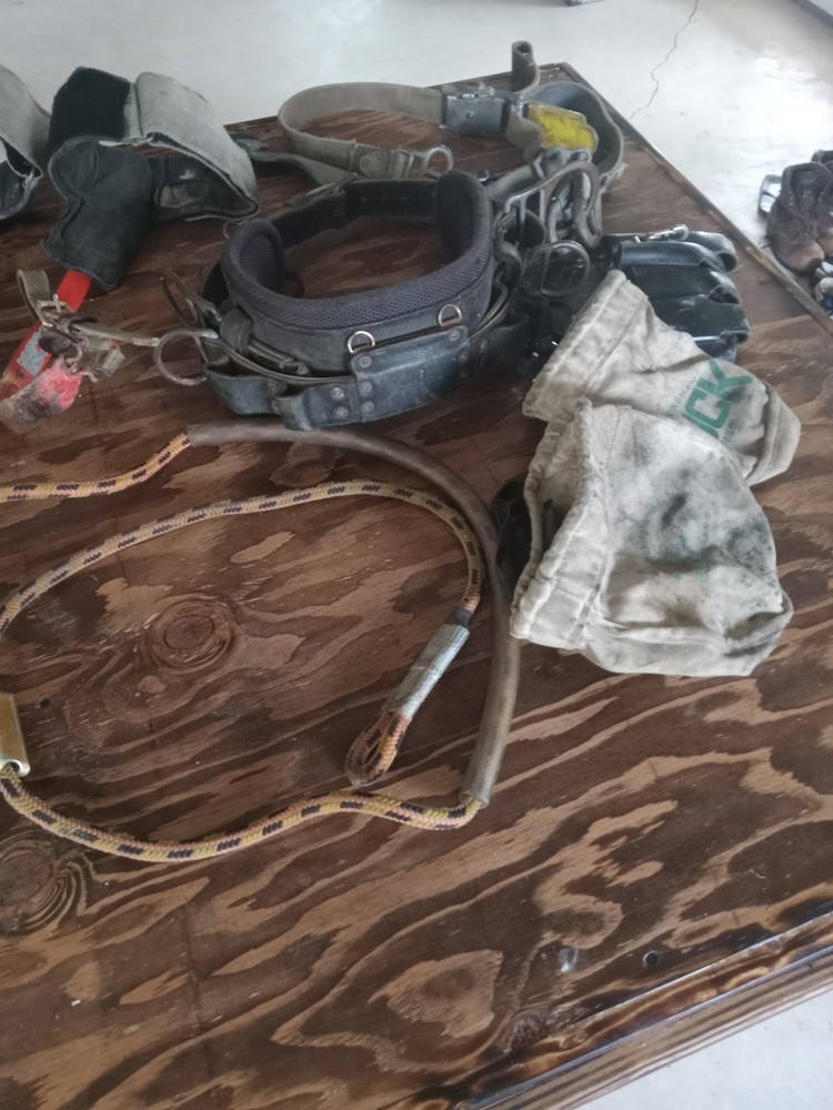 Buckingham Lineman Climbing Gear with Bashlin Hooks