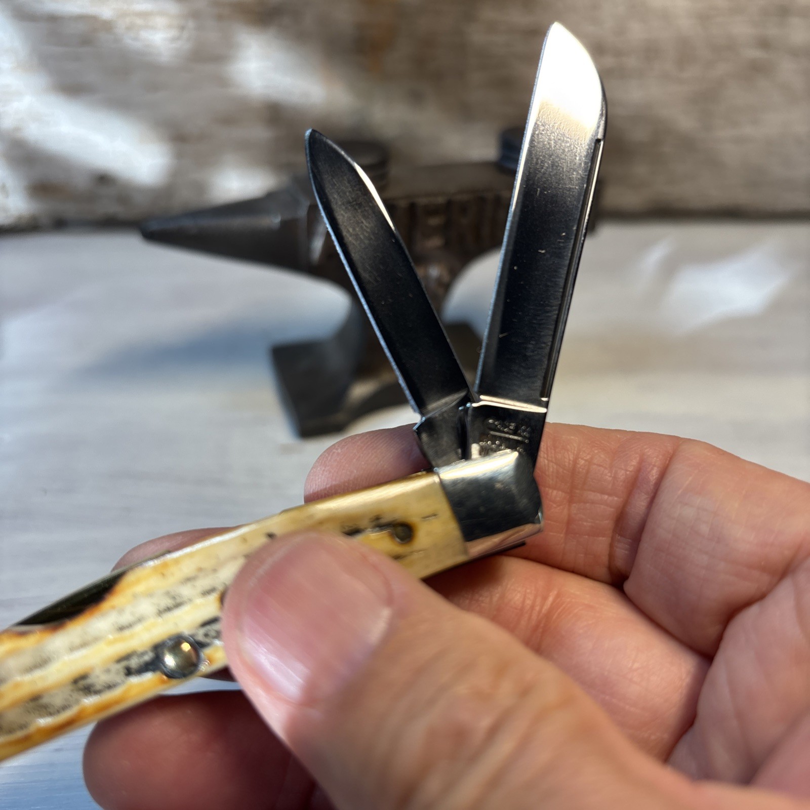 Case XX SC64052 1993 4 Blade Congress Pocket Knife Second Cut Bone Stag