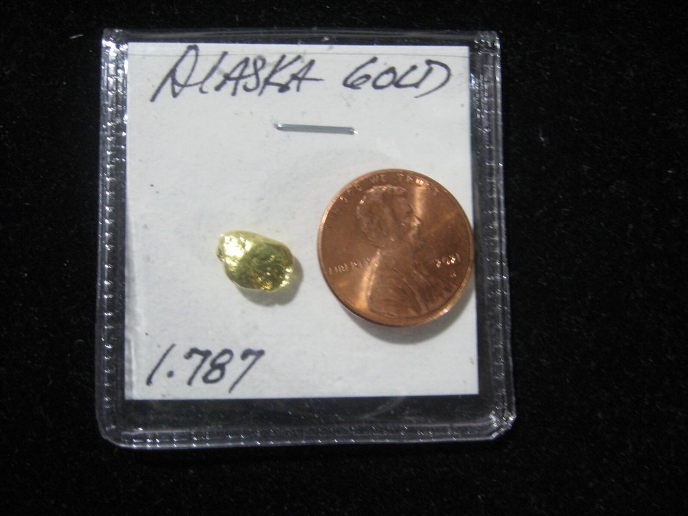 ALASKA GOLD NUGGET 1.787 GRAMS