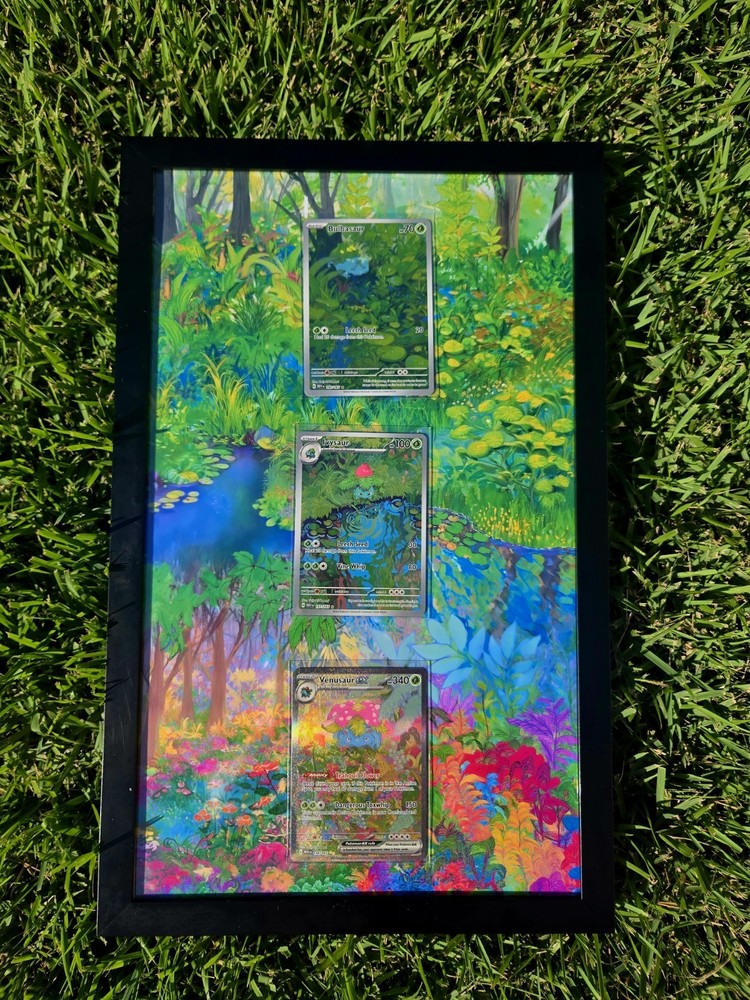 x3 Pokémon 151 Starter Evolution Set Pokémon Card Display Frames